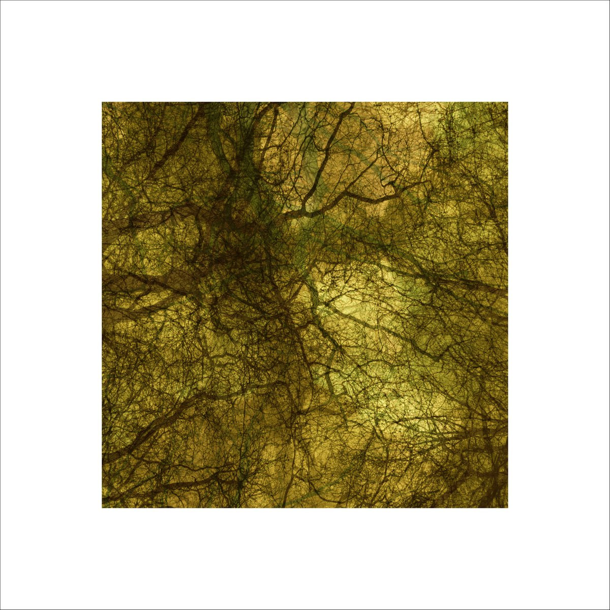 Abstract Photograph By Paul Harrison, 30 X 30", Signs #26, Original Artwork