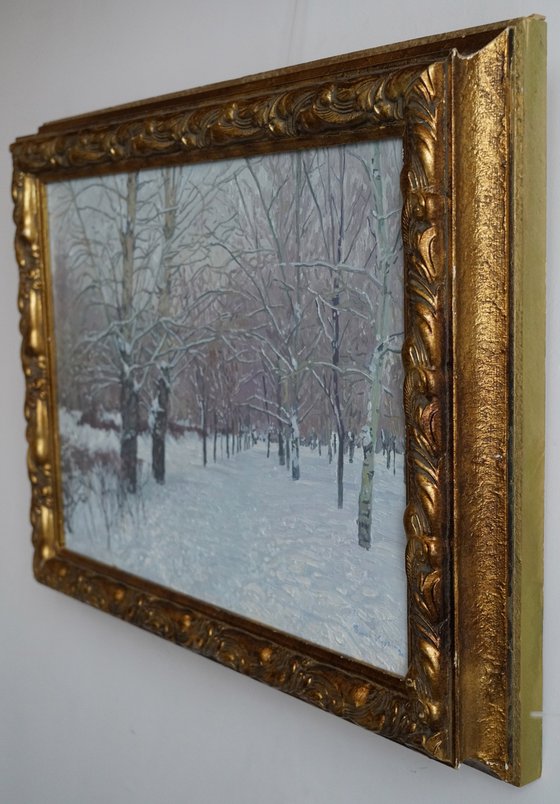 Snow-covered boulevard in Maryino