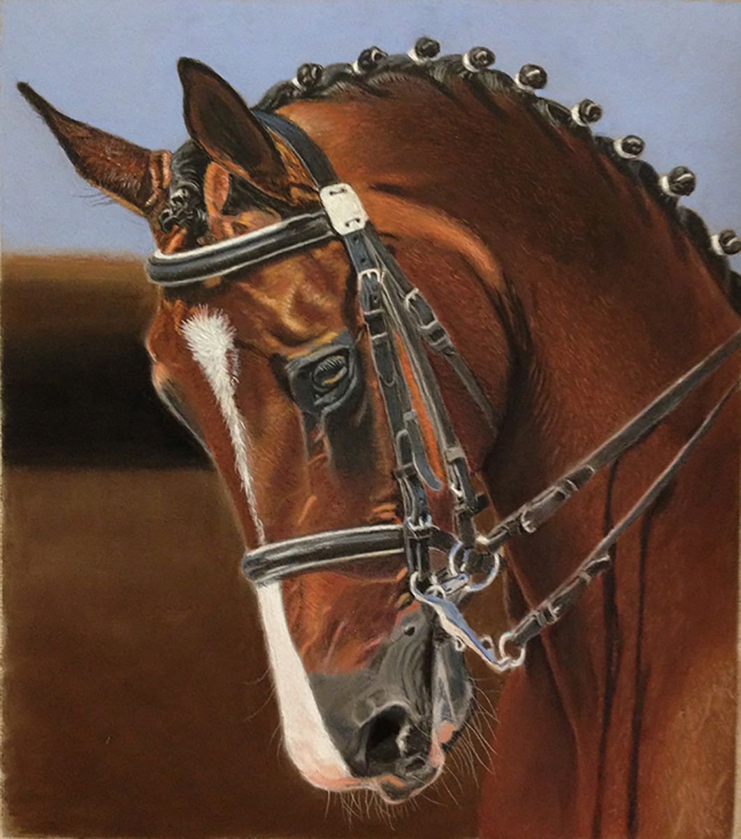 Expressive Animal Pastel Drawing By Gary Thomas, 12 X 12, Beautiful Horse, Original Artwork