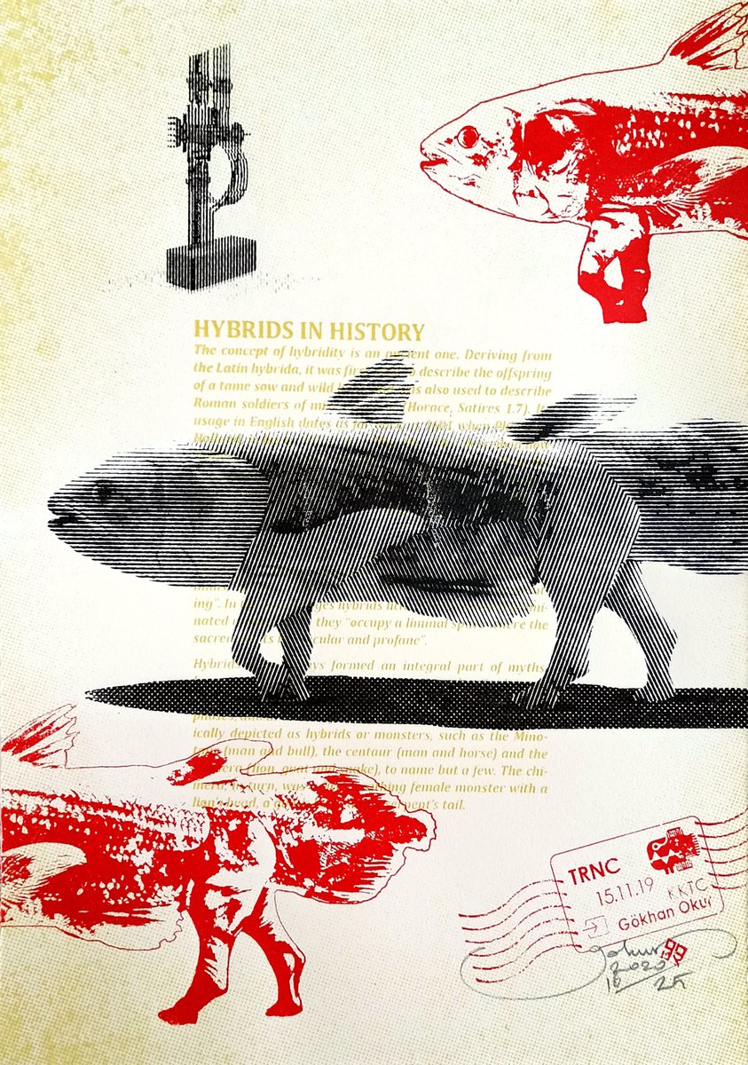 Surrealistic Screenprint , Fishrhino By Gokhan Okur, 10 X 14, Artwork For Sale On Artfinder