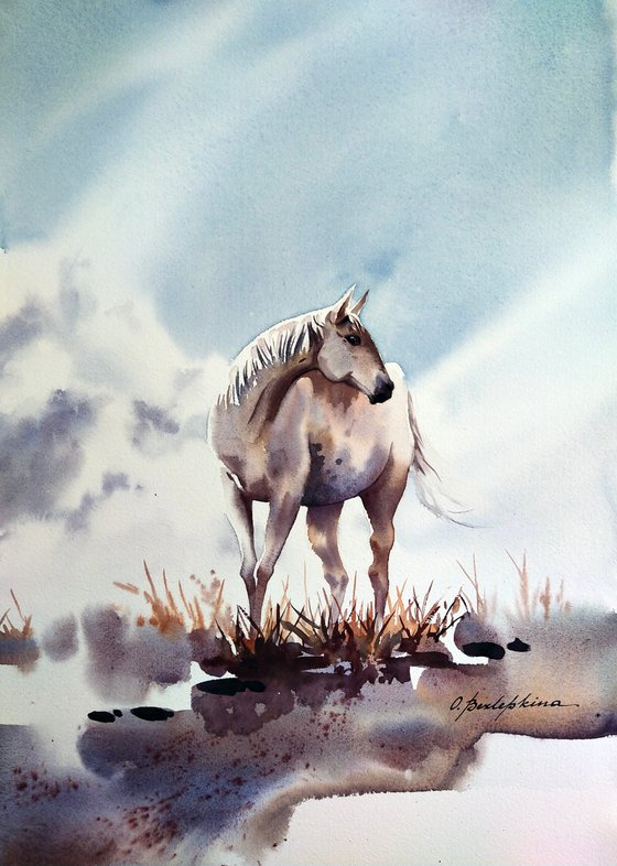 Magical creatures. Soars in the clouds - white horse, animal portrait