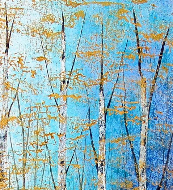 Silver Birch Wood
