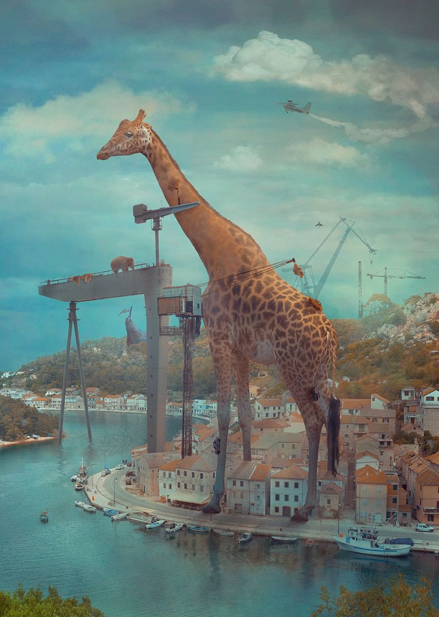 Surrealistic Animal Photograph By Nikolina Petolas, 25 X 35", High And Away, Original Artwork