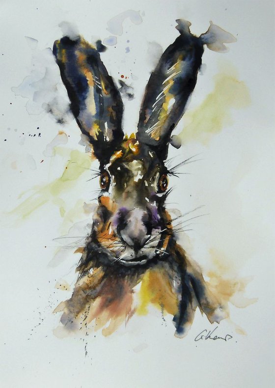 The Enigmatic Hare.