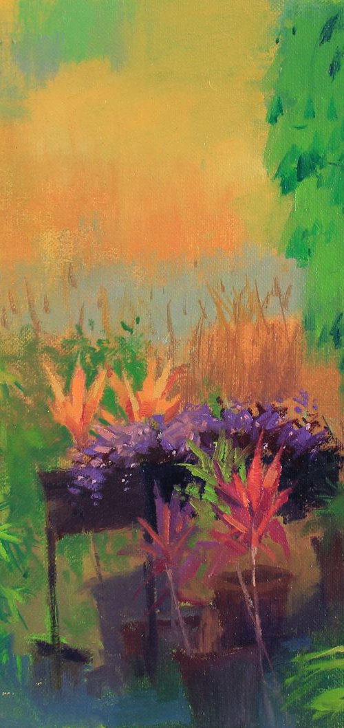 Garden by Snehal Page