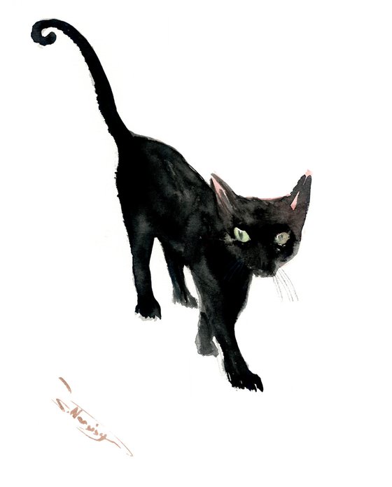 Black cat