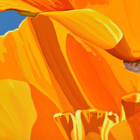 Californian Poppy and Pacific Wind #5