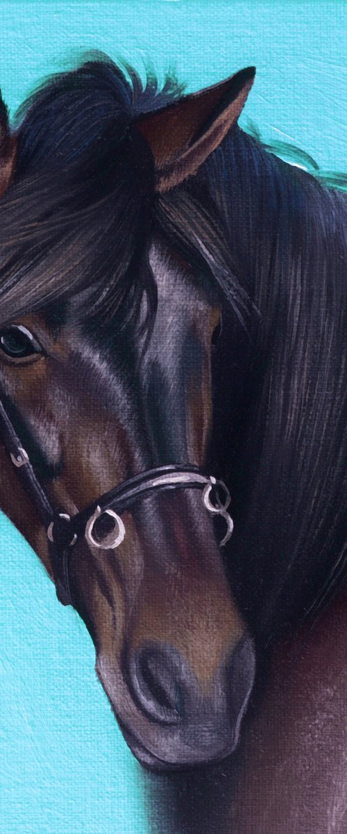 Horse Portrait 115 by Anastasia Parfilo