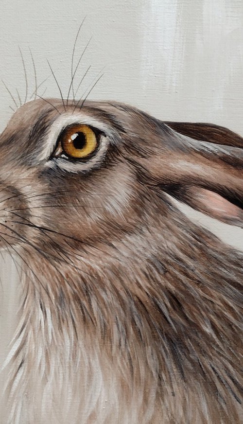 Hare by Sara Westaway