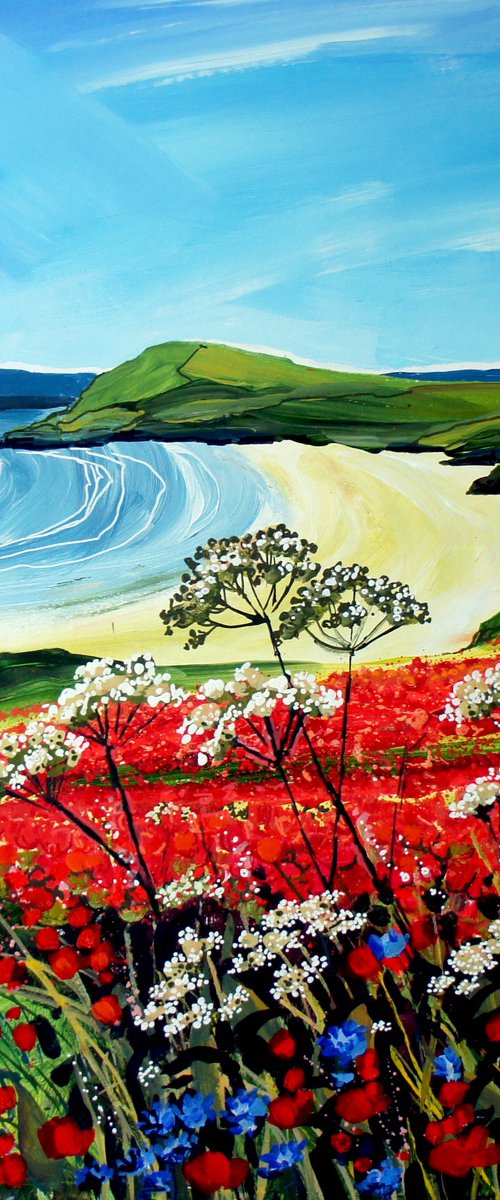 Poppies, West Pentire by Julia  Rigby