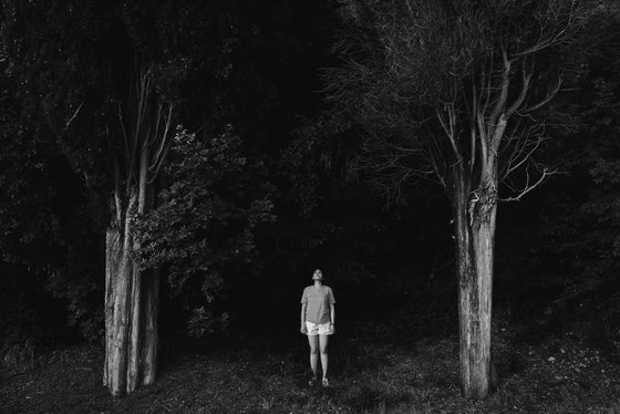 I Am Tree - Limited Edition of 17