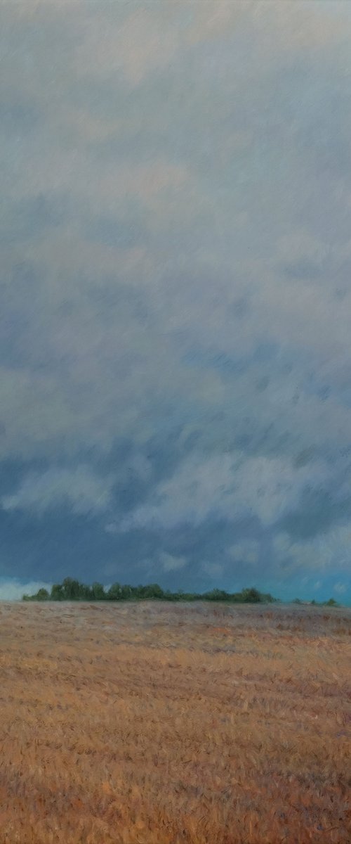 The dog weather tristesse by Richard Mierniczak