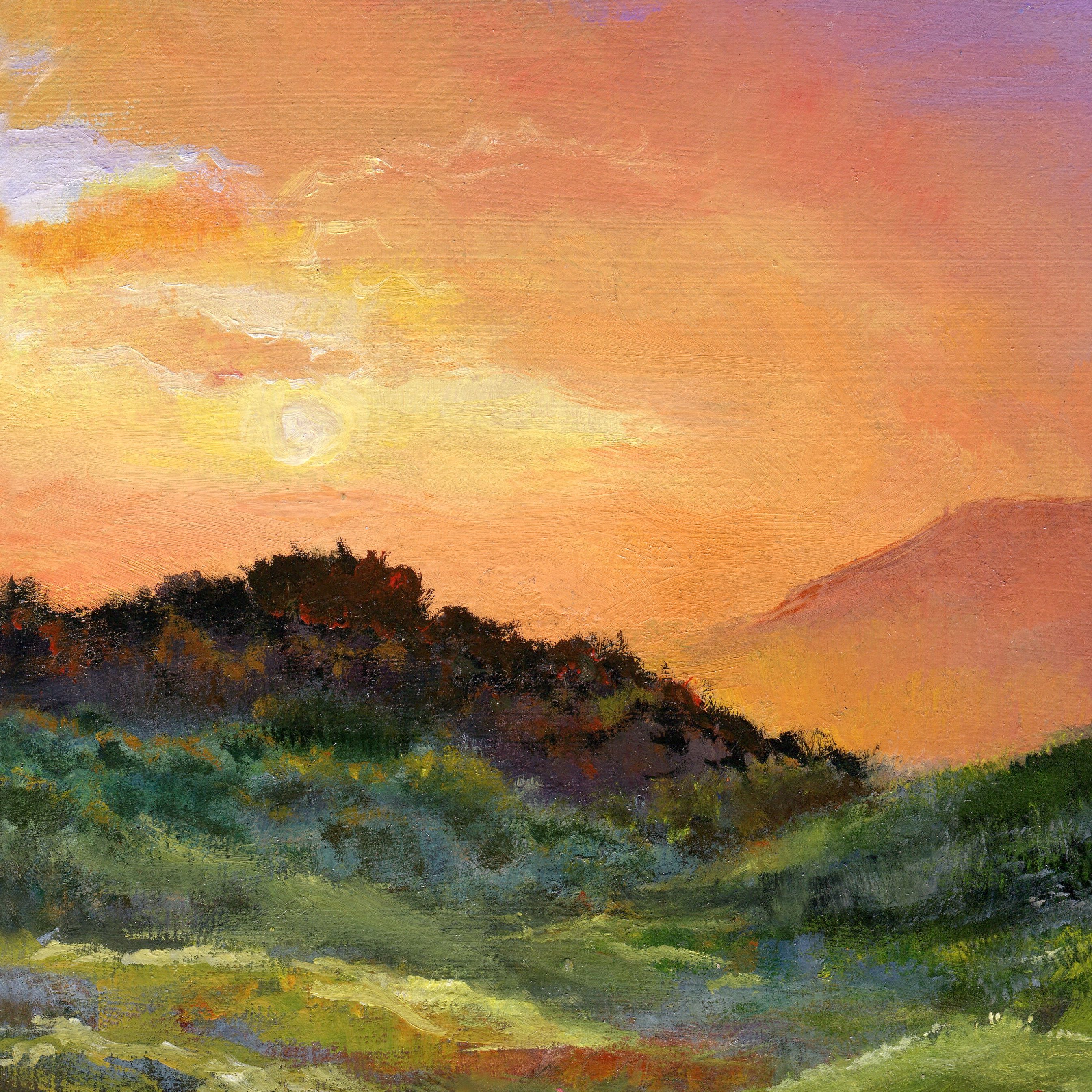 Hills with flowers at sunset Oil painting by Lucia Verdejo | Artfinder
