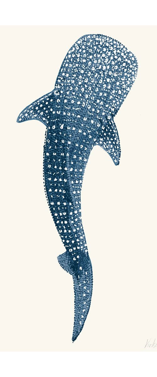 Whale Shark by Kelsey Emblow