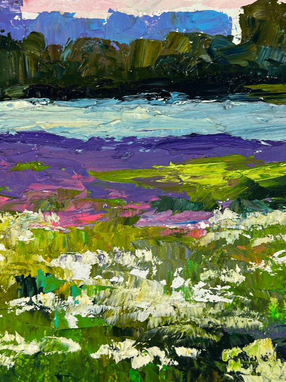 Meadows of Growing Flowers