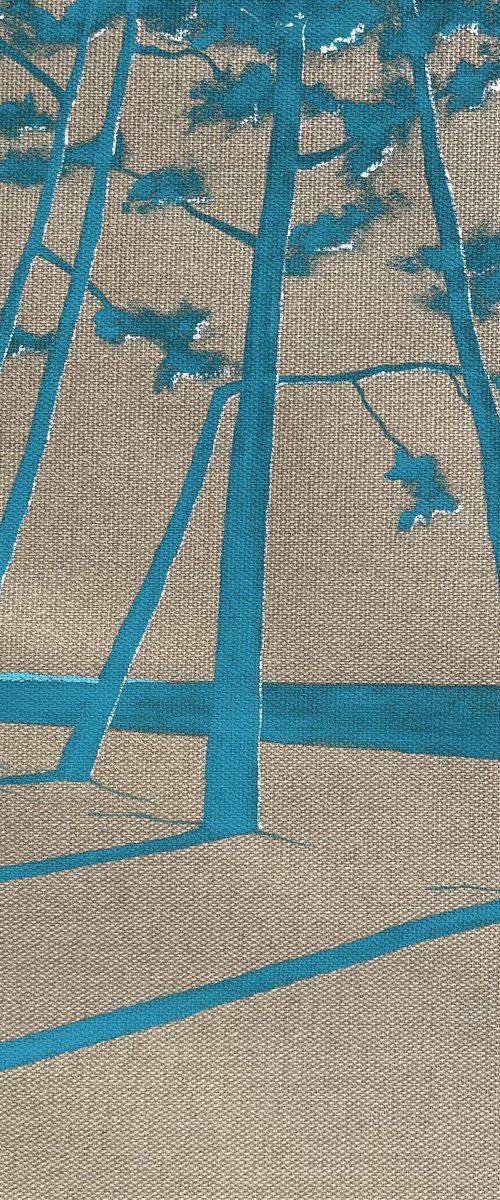 Californian blue Cap Coz by Cadiou Frederic