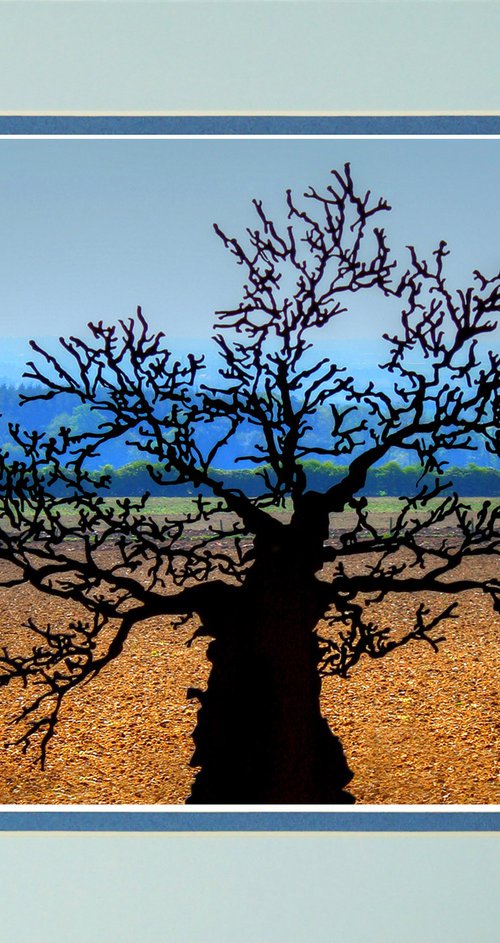 Tree of Life (look closer) by Robin Clarke