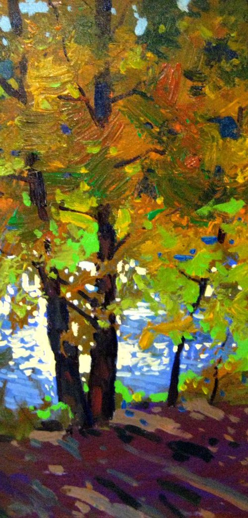 autumn by Sergey  Kachin