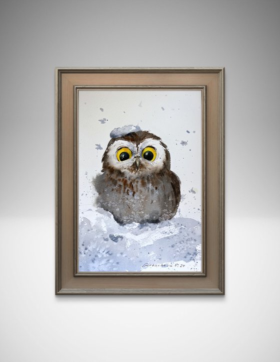 Owlet in a snowdrift #2