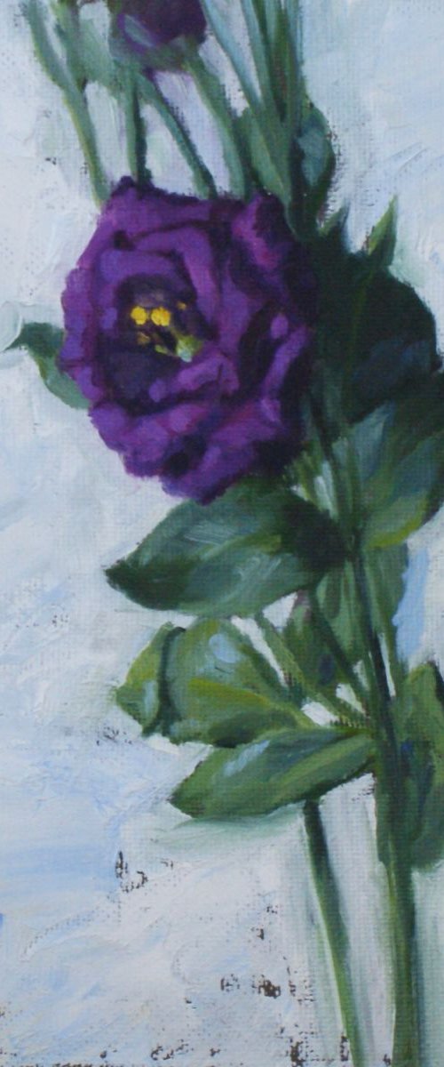 Purple Lisianthus by Jon Gidlow