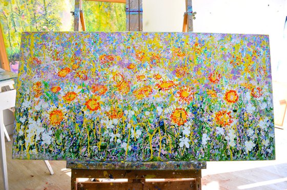 Daisy Blooms