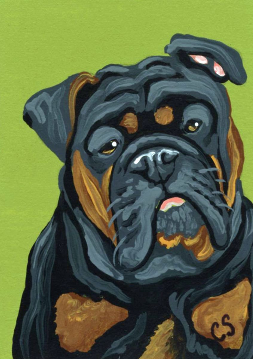 ACEO ATC Original Painting Olde English Bulldogge Dog Pet  Art-Carla Smale