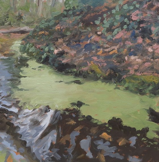 Woodland Stream