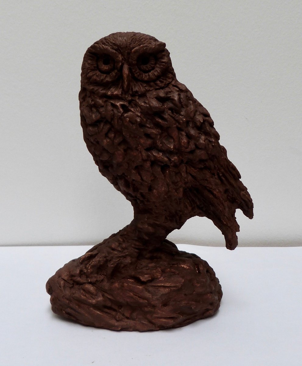Little Owl by Kate Willows
