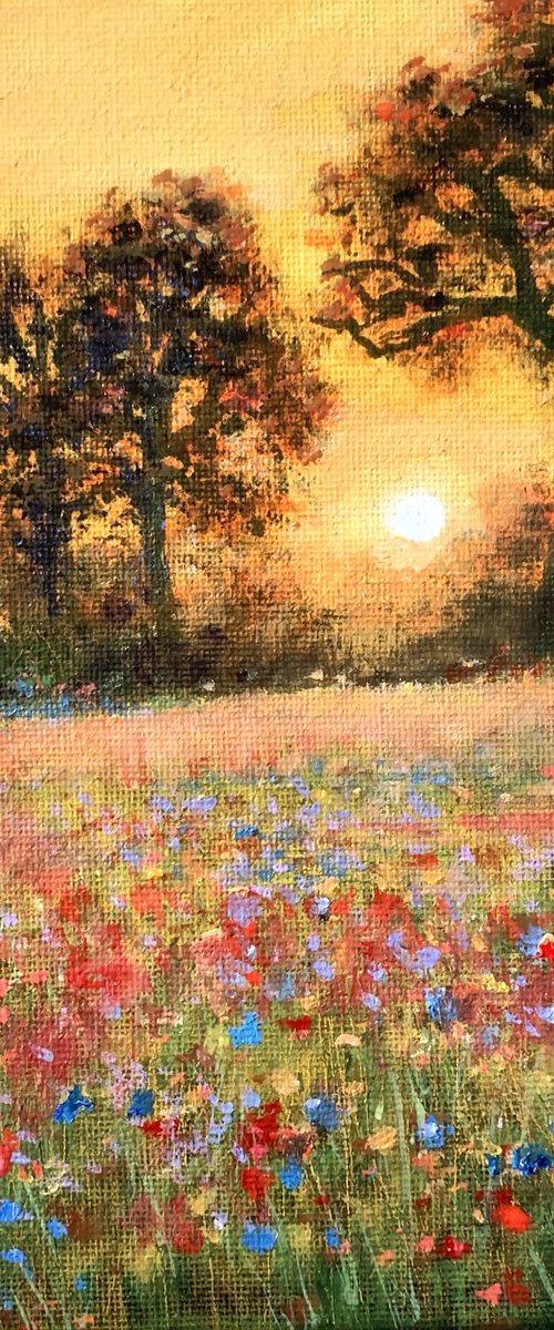 Golden Dawn Dream by Jennifer Taylor