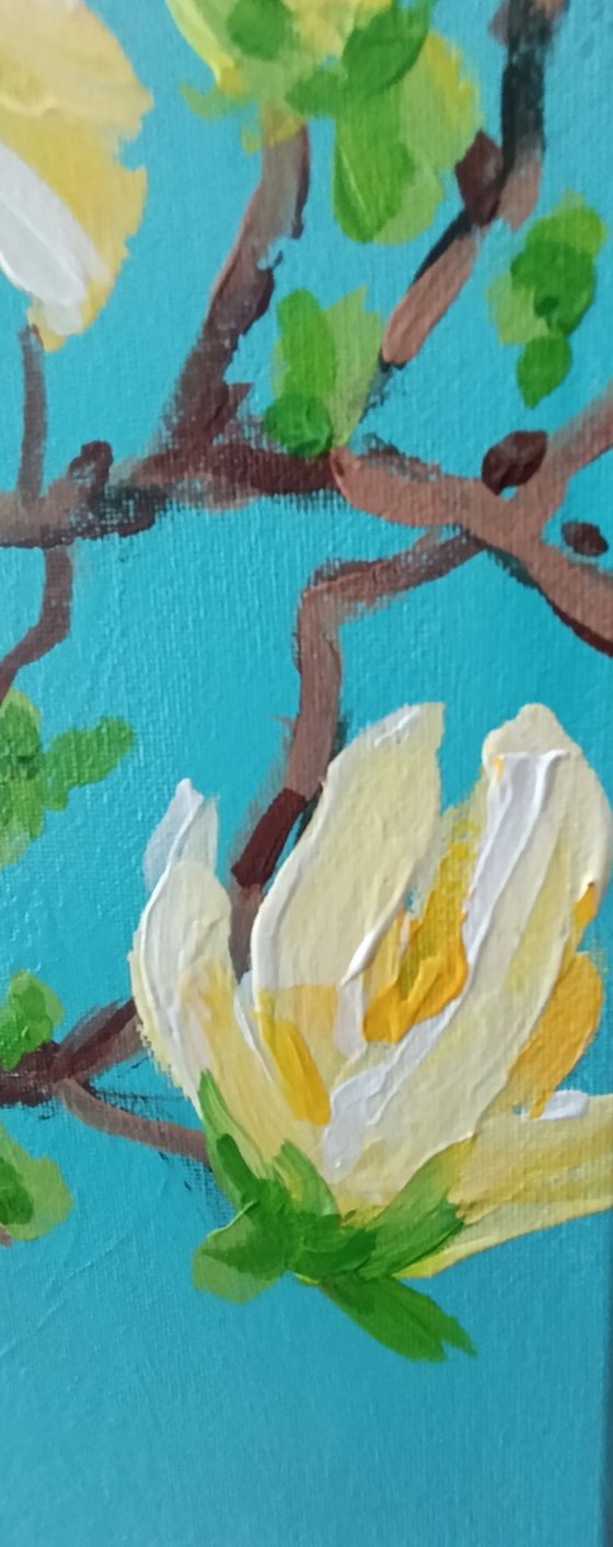Yellow Magnolia