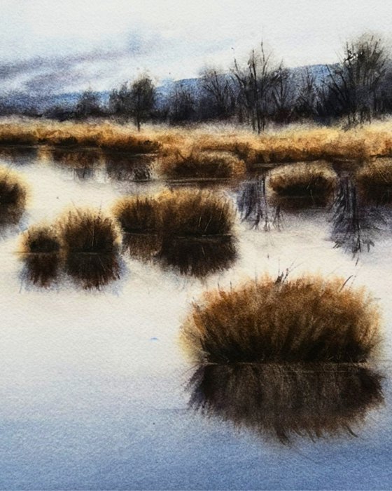 Moorlands I
