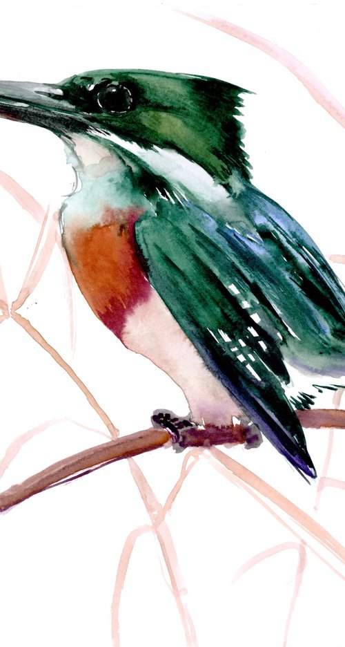 Green Kingfisher by Suren Nersisyan