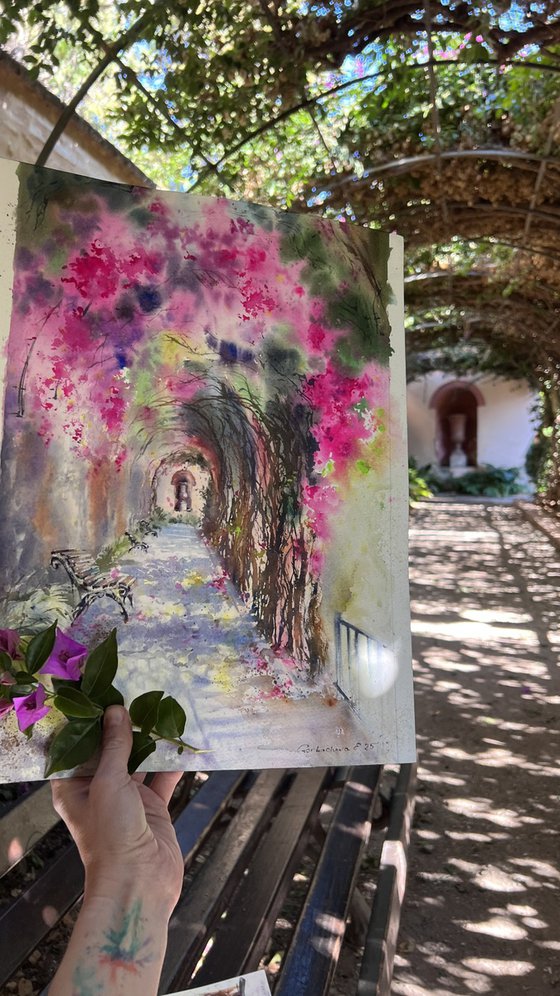 Bougainvillea Tunnel