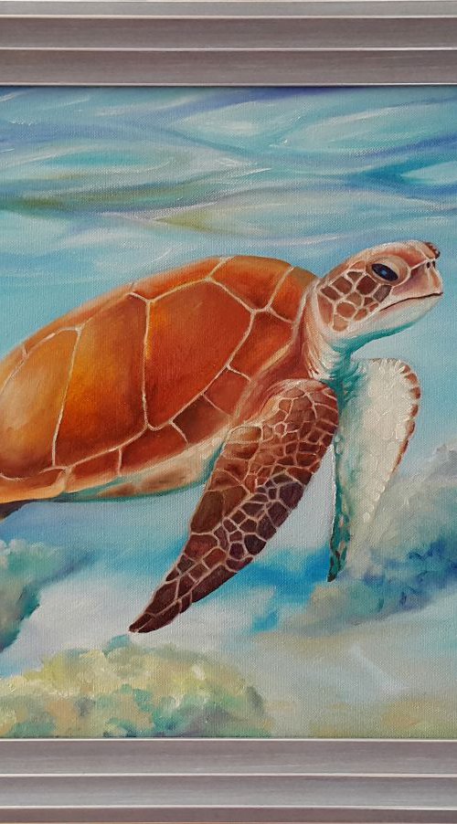 Turtle under water by Mary Voloshyna