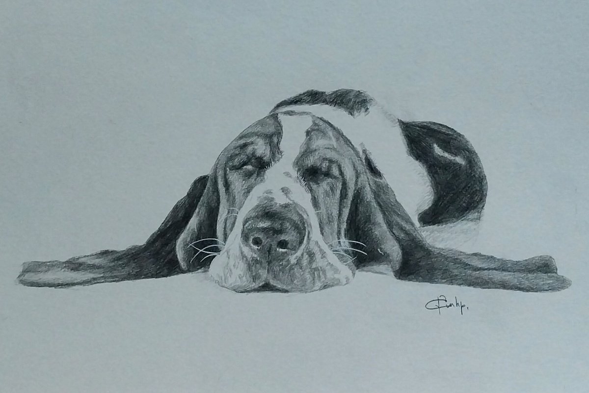 Basset by Vahan Shakhramanyan