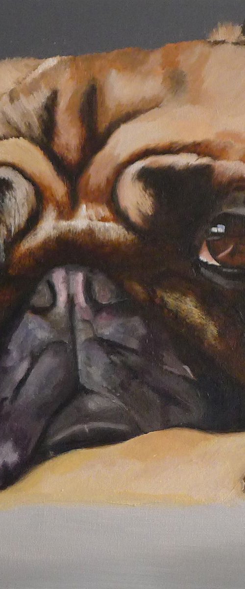 Pug Portrait by Helen Sinfield
