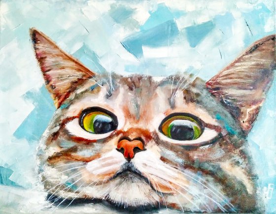 Curious cat
