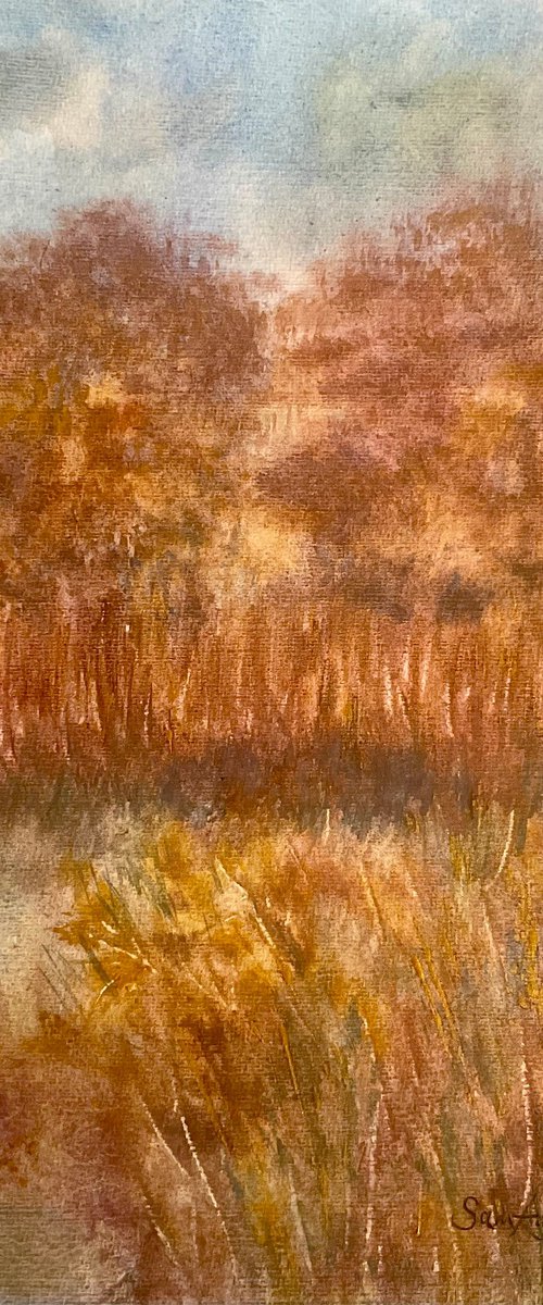 Smallbrook meadow, Wiltshire by Samantha Adams