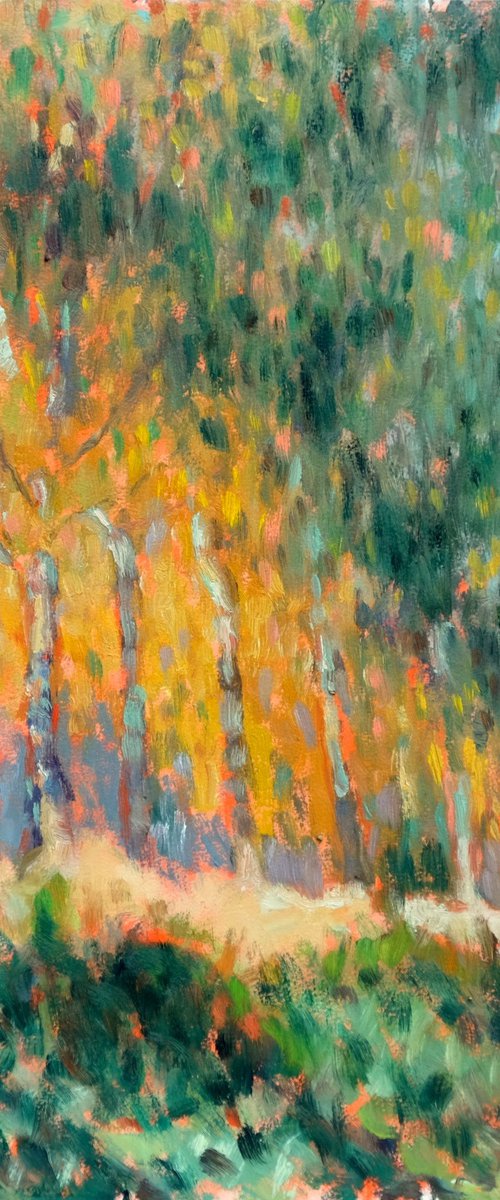 Birches by Richard Mierniczak
