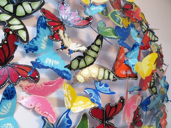 80 Butterflies
