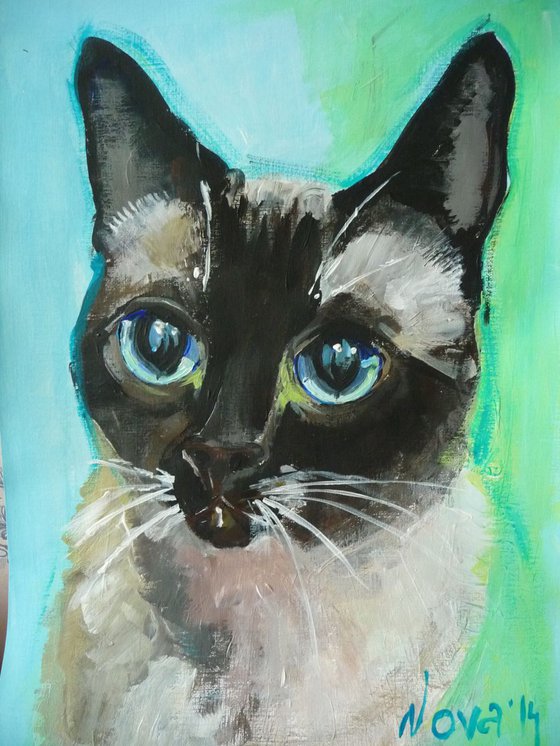 Cat portrait