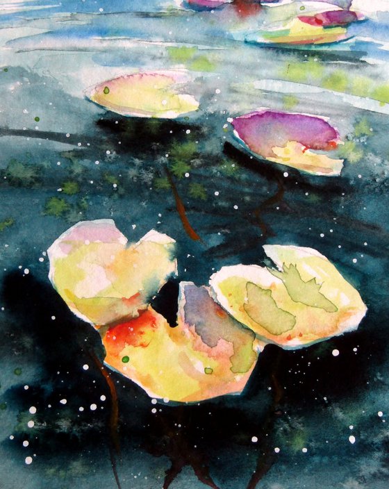 Water lilies collection