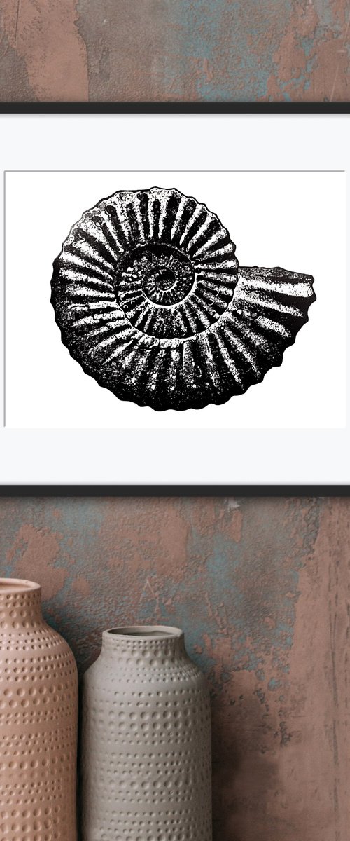 Ammonite (grey and black) by Ieuan Edwards