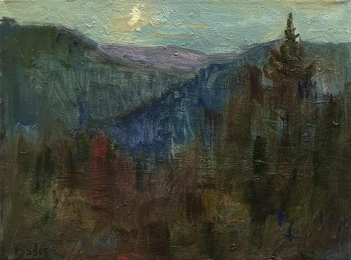 Impressionistic Landscape Oil Painting By Bohdan Dobrivskyi, 16 X 12, Fairytale Night, Original Artwork
