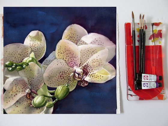 orchids in blue watercolor floral