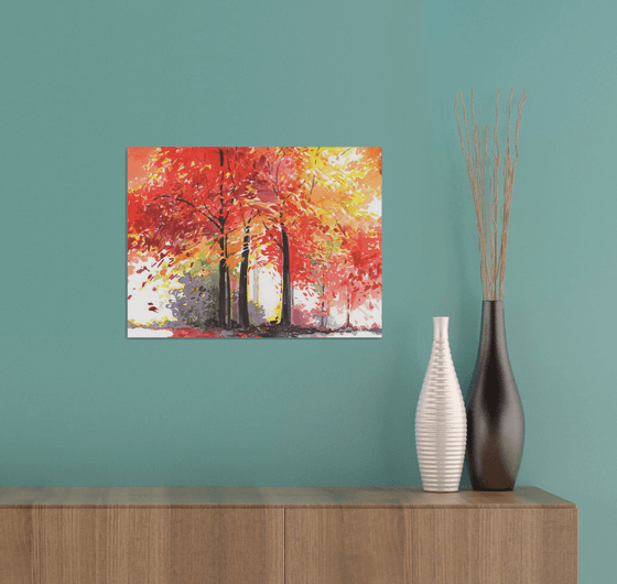 Autumn colors - maples