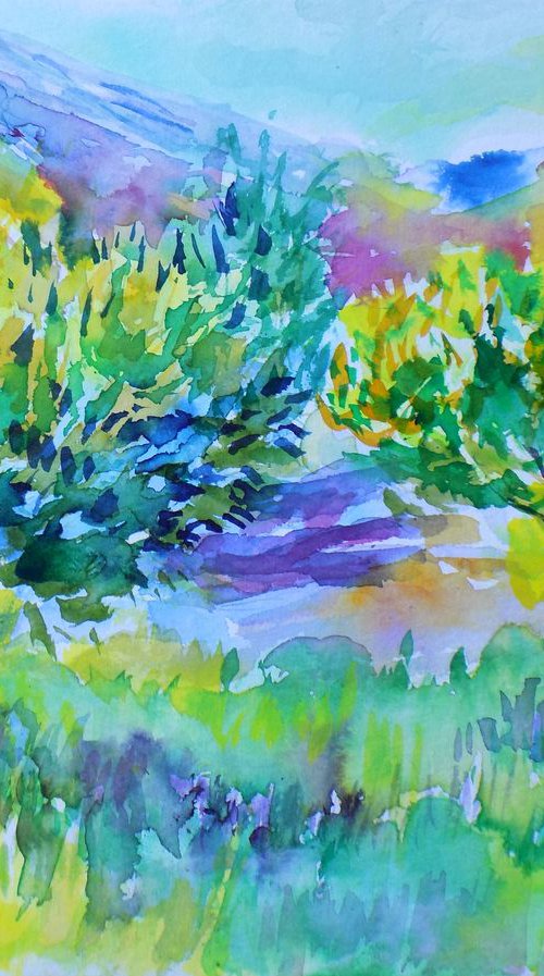 Olive grove No 4 by Maja Grecic