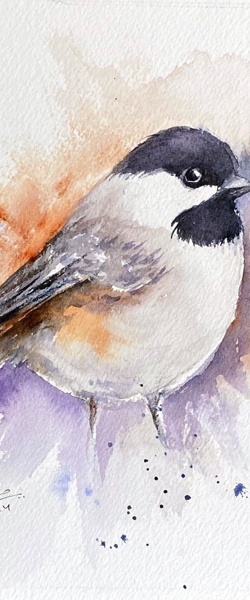 Coal Tit Tilly by Arti Chauhan