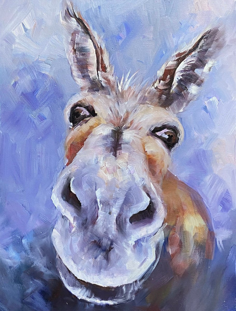 Funny Donkey Dobbs by Arti Chauhan