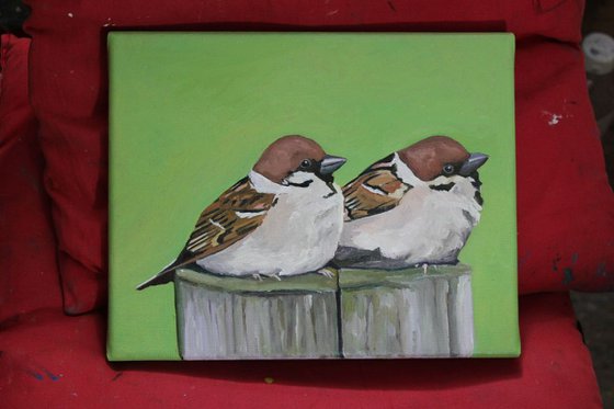 Tree Sparrows